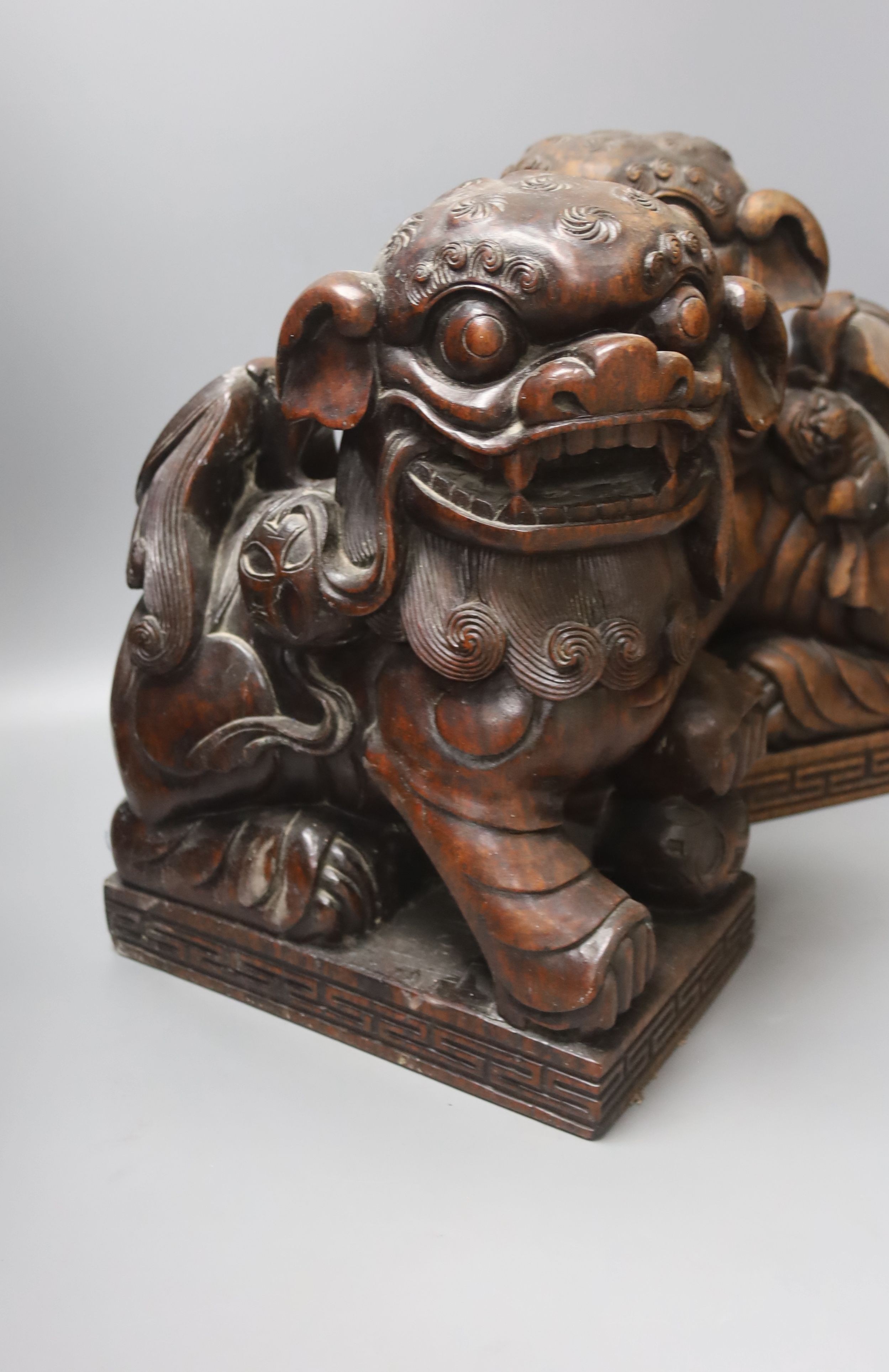 A pair of Chinese carved hardwood Buddhist lions, width 26cm height 37cm